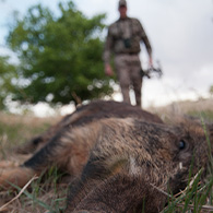 Cinnamon Creek Archery