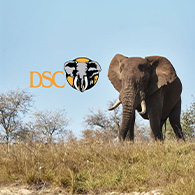 Dallas Safari Club