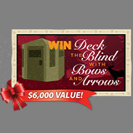 Deck the Blind