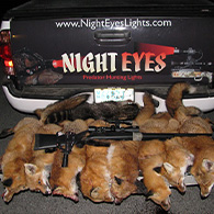 Night Eyes Lights