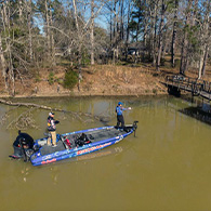 MLF Redcrest