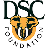 DSCF