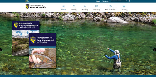 CALIFORNIA Department of Fish and Wildlife