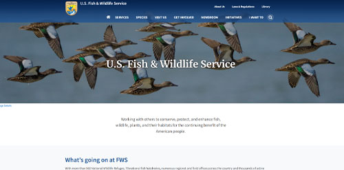 U.S. Fish and Wildlife Service